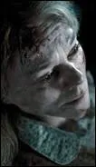 Nommée Charity Burbage, cette professeur a été tuée par Voldemort puis dévorée par Nagini. Pour quelle matière la voit-on ?