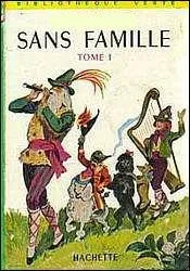 Dans le livre "Sans famille", quel est le nom du chien noir ?