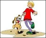 Avez- _____ des animaux ?