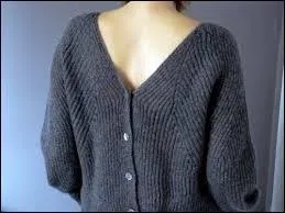 Dites donc, n'auriez-vous pas mis votre pull à l'en... ? Ahah ! Ridicule !