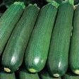 Quiz Legumes