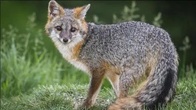 Utile pour trouver !