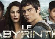 Quiz Es-tu vraiment fan du film 'Le Labyrinthe' ?