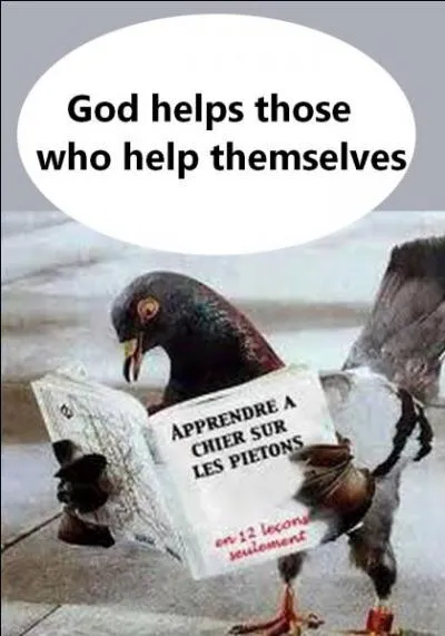 Quel est le bon proverbe ?