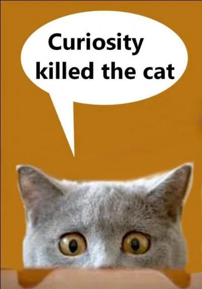 Quel est le bon proverbe ?