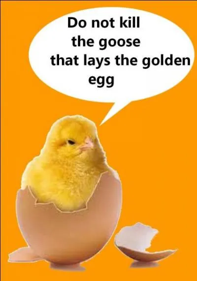 Quel est le bon proverbe ?