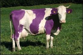 Quelle marque a pour logo une vache violette et blanche ?