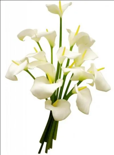 Tourner en rond, se tourner les pouces, brasser du vent :