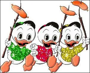 Anatomie. Péroné :