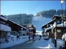 Nous partons faire du ski à Morzine. Pour ce faire, nous devons nous rendre en région ...