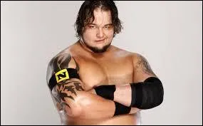 En 2009-2010, Bray Wyatt &eacute;tait dans la Nexus, mais sous quel nom ?