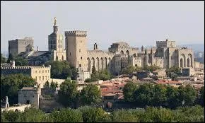Plus grande construction gothique du Moyen-Age, le Palais des Papes se trouve à ...