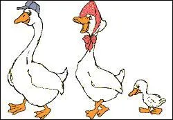 (Je suis le papa) Que dire de moi ?