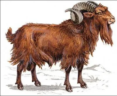 Comment me définir ?