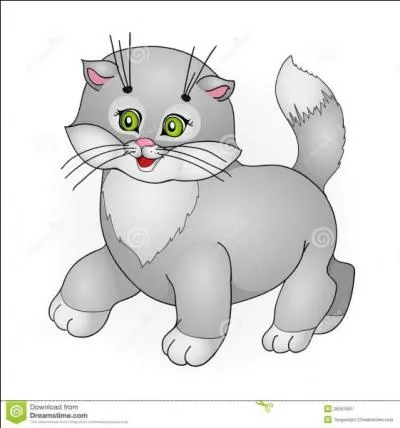 Comment allez-vous me juger ?