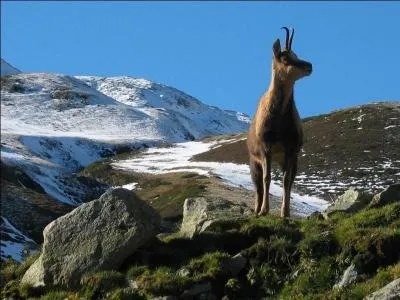 C'est un état indépendant depuis 1278 qui est régi par un contrat de droit féodal. Ce contrat concède le trône à deux coprinces. Sa capitale (22 000 h) est la plus haute d'Europe (1 013 m).