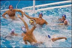 Ce sport se joue avec un ballon. Quel est ce sport ?