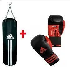 Dans ce sport il y a un ring, des punching-balls et des gants. Quel est ce sport ?