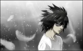 La police le contacte lorsqu'une affaire devient trop compliquée pour lui, ce qui bizarre ; généralement, pour lui, une enquête est d'une grande simplicité vu son quotient intellectuel élevé. Un seul obstacle se mettra en travers de sa route "Kira". Qui est-il ?