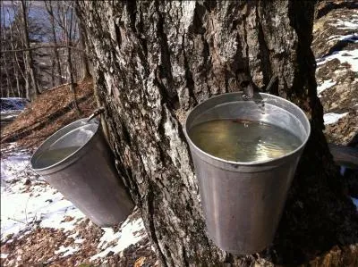 Une petite dédicace à nos cousins d'Outre-Atlantique !