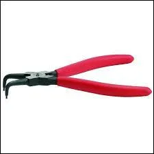 Ceci est la photo d'une :