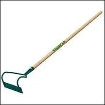 Un vieux jardinier expérimenté vous dira évidemment qu'il s'agit ici d'...