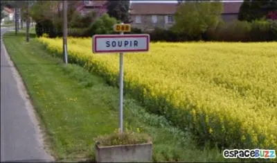 Dans l'Aisne, il existe un village appelé "Soupir". En musique, que représente le "soupir" ?