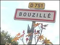 En Maine-et-Loire, il existe un village appelé "Bouzillé". Ce nom de village fait penser au verbe "bousiller" qui signifie :