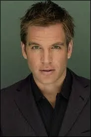 Comment s'appelle l'acteur qui joue le rôle de l'agent très spécial Anthony (Tony) DiNozzo dans la série "NCIS" ?