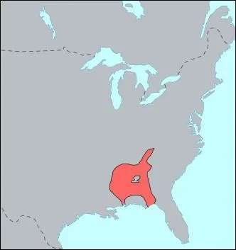 La province (ou royaume) de Cofitachequi fut une chefferie de langue muskoghéenne qui exista, grossièrement, du XIe au XVIe siècle : certes, mais où ?