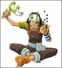 Mon père se nomme Yassop, je suis le canonnier de l'équipage de Luffy. Qui suis-je ?