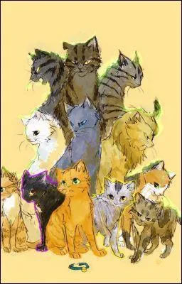 Combien de clans y a-t-il dans la forêt ?