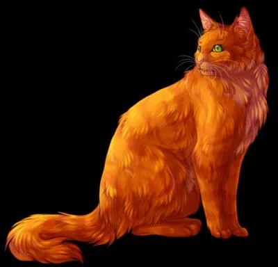 Quels sont les 3 premiers noms d'Étoile de Feu ?