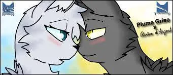 Qu'arrive-t-il à la première compagne de Plume Grise ?