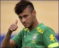 Il réussit également à être sacré troisième meilleur buteur de la compétition. Combien de buts avait-il mis ?