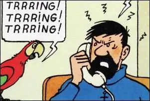 Que va répondre Haddock ?