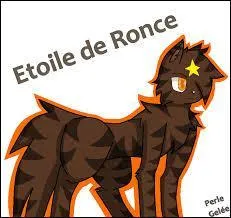 Lorsque Griffe de Ronce devient chef, qui prend-il comme lieutenant ?