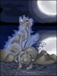 Facile : qui est le meurtrier de Pelage de Granit ?