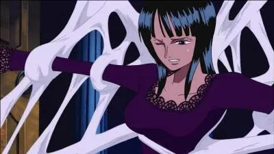 Qu'est-ce que Robin est capable de déchiffrer ?