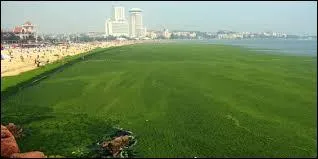 O&ugrave; se trouve la mer Jaune ?