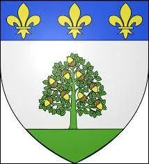 Ce blason appartient à une ville Ardéchoise. Avec la ville d'Aubenas, elle s'est proclamée capitale du marron glacé et de la crème de marrons. C'est la ville de ...