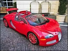 Il y a des éditions spéciales de Bugatti Veyron.
Laquelle est sur cette photo ?