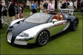 Il y a des éditions spéciales de Bugatti Veyron.
Laquelle est sur cette photo ?