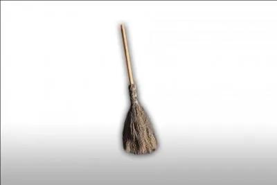 La réponse semble évidente, non, l'une d'entre elles fut bien-aimée !