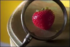 Regardez bien l'objet de la photo, ce détail, même élémentaire, est très important pour trouver le personnage !