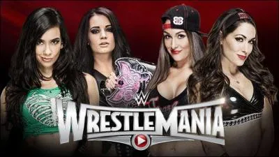 AJ Lee & Paige vs The Bella Twins : qui sont les gagnantes de ce match par équipes ?