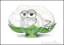 Si vous mettez une médaille d'or à mon quiz, que vais-je vous dire ?