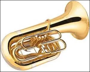 Les musiciens ont fourbi ---- instruments.