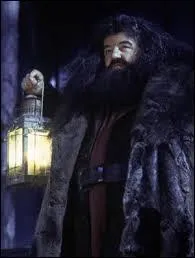 Lequel de ces hommes a emmené Harry Potter dans une école de sorcellerie où il était attendu à la rentrée ?