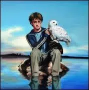 Trouvez le nom de la chouette d'Harry Potter !